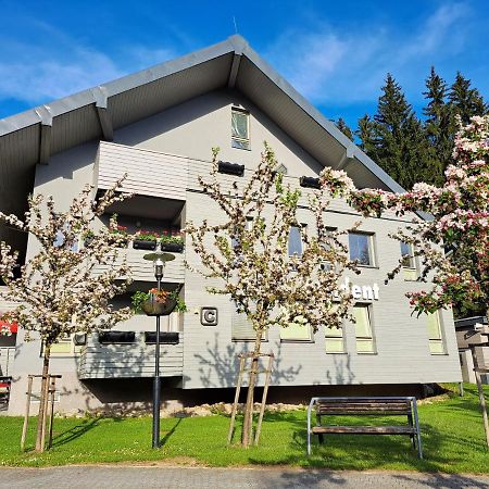 Wellness Apartment Josefina - Free Grotta Spa Wellness Harrachov Exterior foto