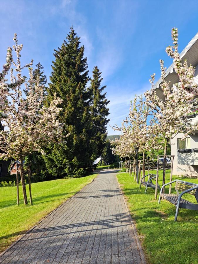 Wellness Apartment Josefina - Free Grotta Spa Wellness Harrachov Exterior foto